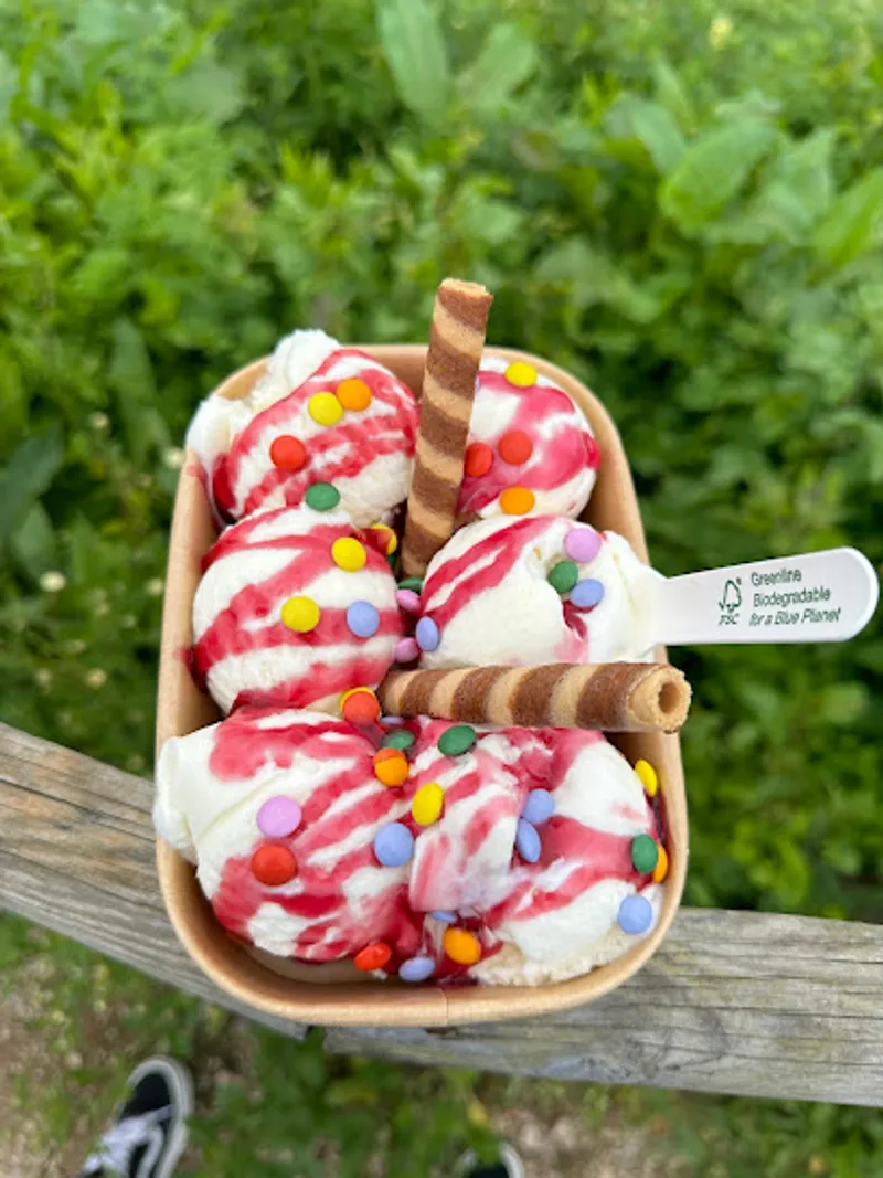Surfing Cow Gelato