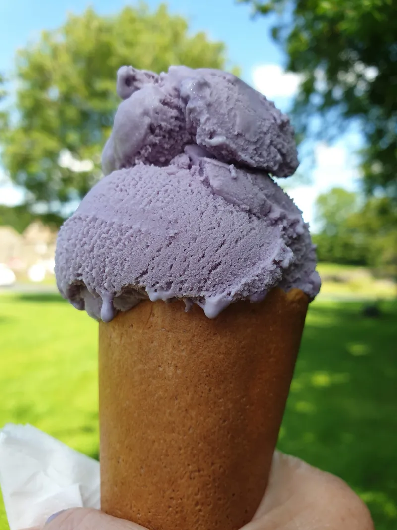 Downham Ice Cream (closed if wet) Open march to October.