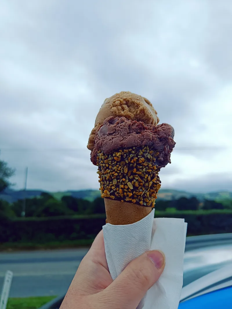 Dairy Dreams