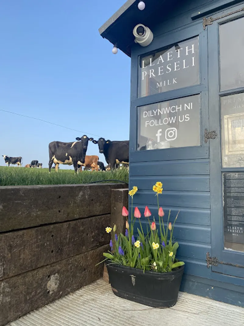 Llaeth Preseli Milk & Gelato