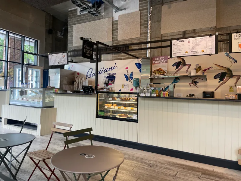 Badiani Gelato Elephant Park