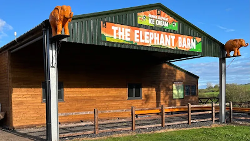 The Orange Elephant Ice Cream