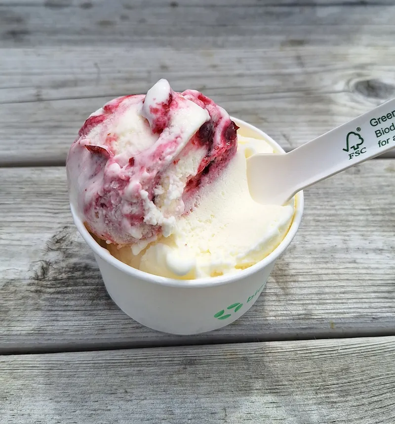 Sarah's Ice Cream Parlour