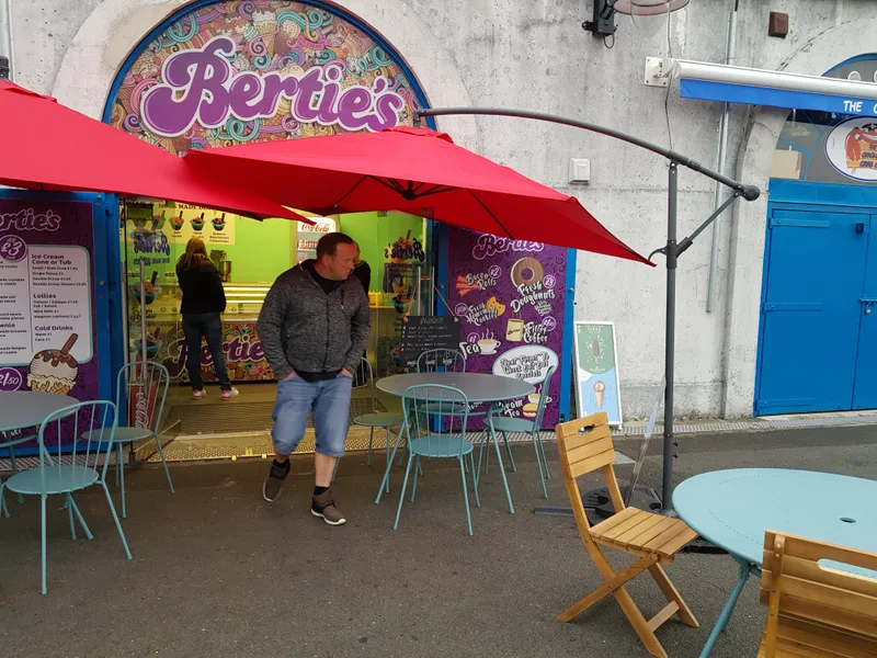 Berties Ice Cream and Homemade Desserts